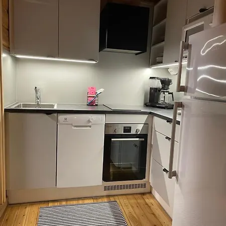 Ruka, Kelokaltiokylae, Moekki 28 Prázdninový dům *